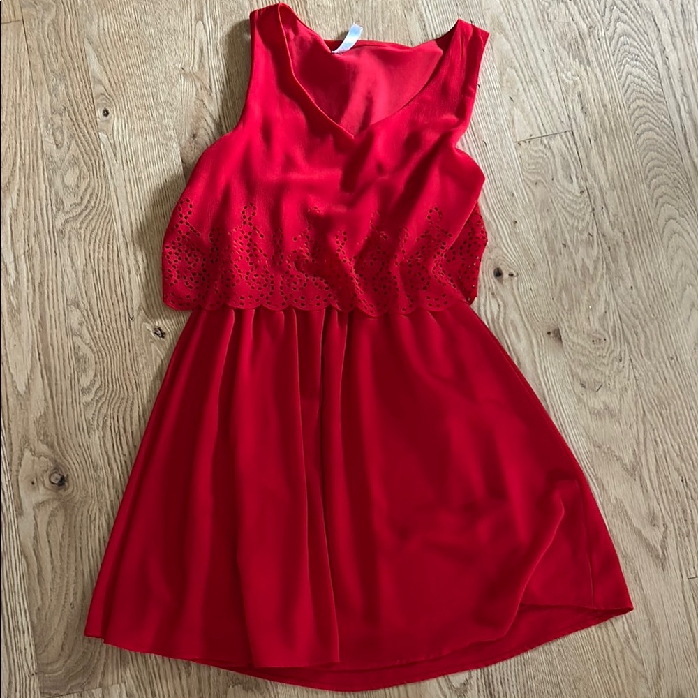 Potter's Pot Red Mini Dress
